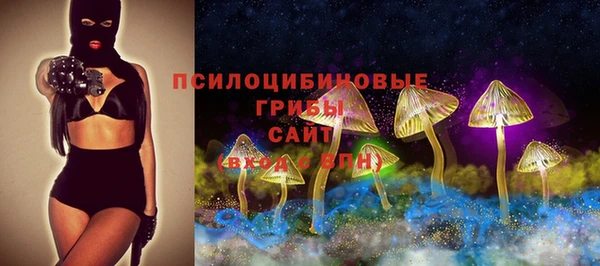 метамфетамин Богданович