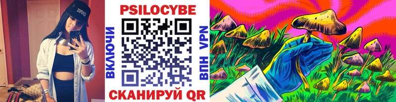 KRAKEN онион  Биробиджан  Галлюциногенные грибы Cubensis 